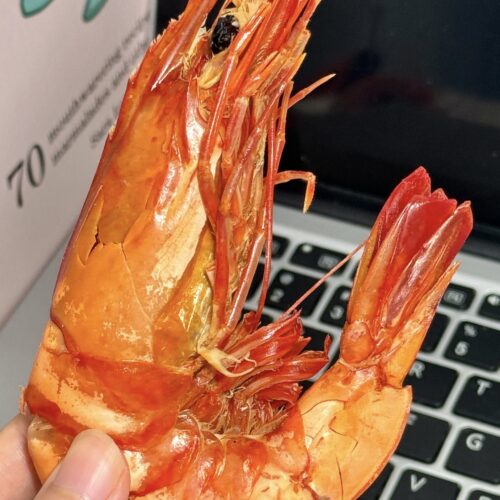 Top-grade / Grilled Dried Shrimp