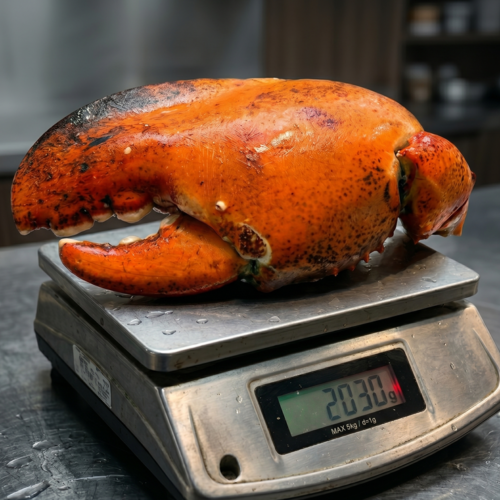 Giant kg-Grade Lobster Claw | Super Thick & Juicy | Premium Seafood Singapore - Only S$9.90
