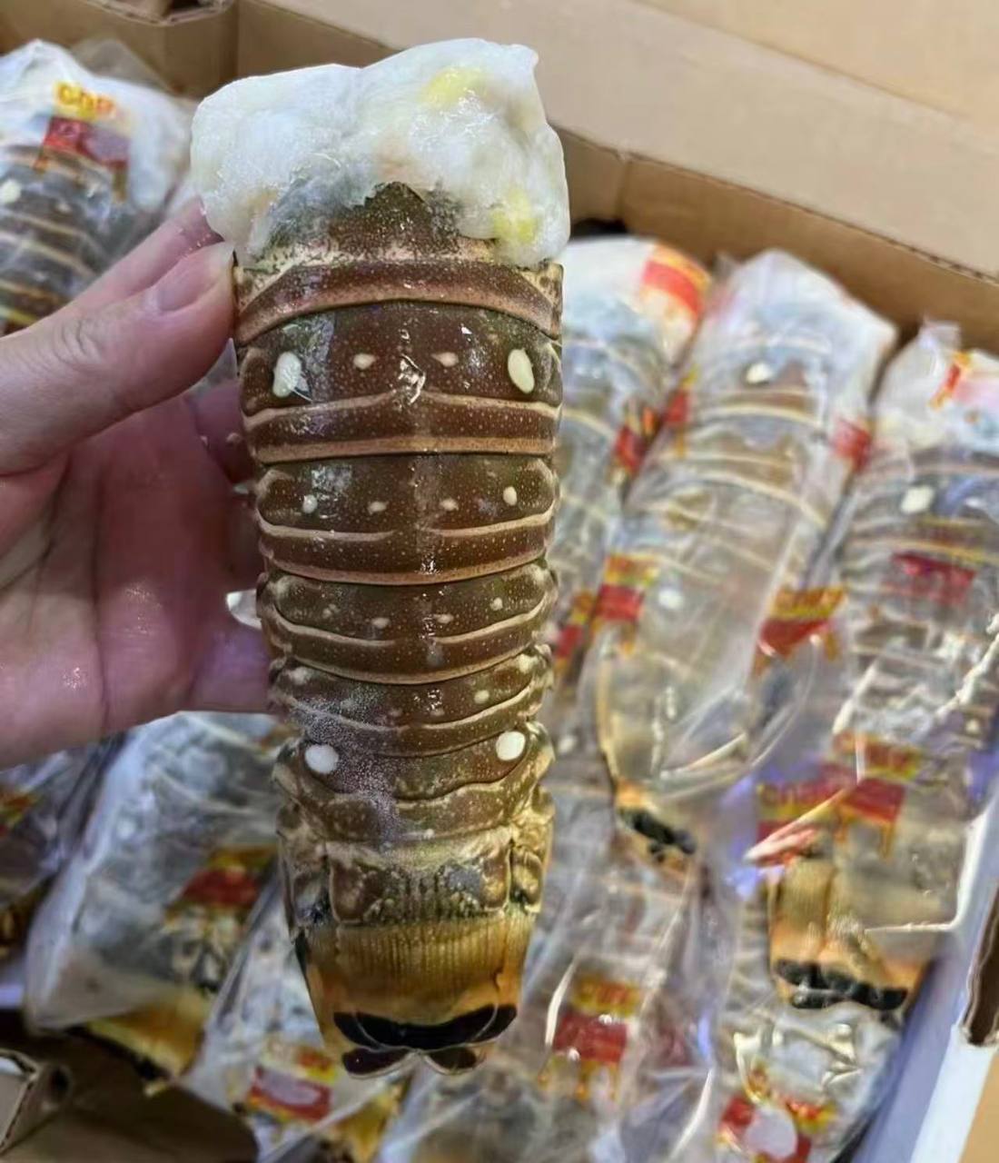 Wild-Caught Brazilian Lobster Tail (250g) | Only 100 Servings Daily | Best Value in SG - Image 6