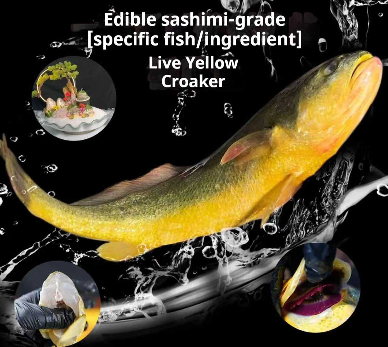 Sea-farmed yellow croaker, delivered live to your door — triple compensation for dead fish! - Image 3