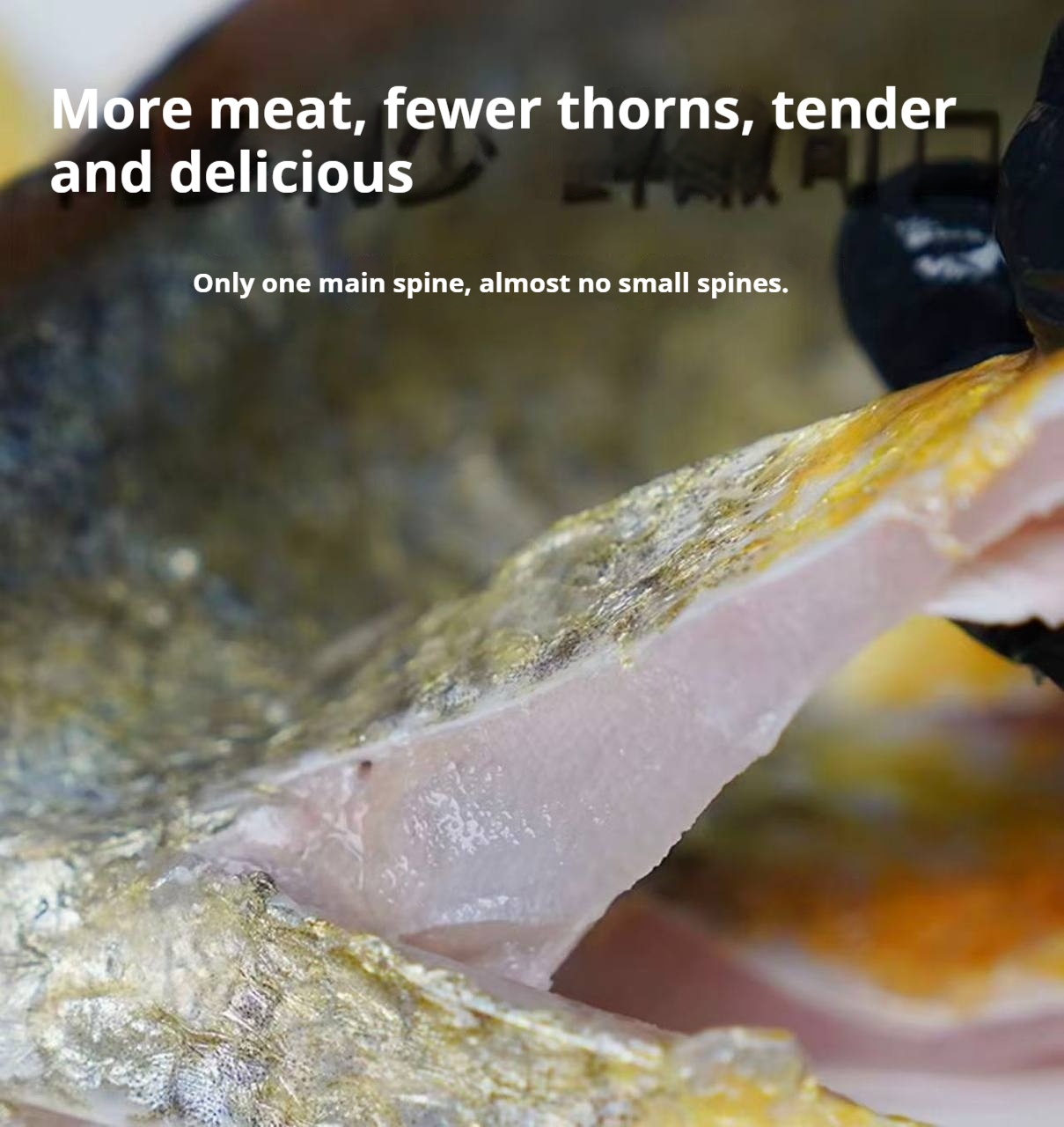 Sea-farmed yellow croaker, delivered live to your door — triple compensation for dead fish! - Image 5